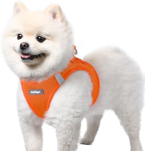 rabbitgoo Step-in Small Dog Harness, Puppy Vest by rabbitgoo