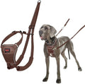 Halti No Pull Dog Harness | Size L, Deep Walnut by Halti