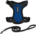 Voyager Step-in Lock Cat Harness & Leash Set by BestPetSuppliesLLC