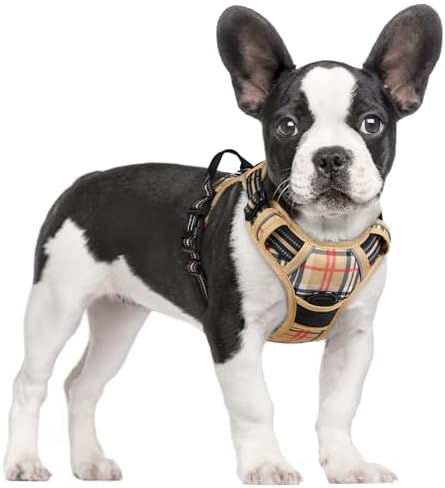 rabbitgoo Dog Harness, No Pull for Small Dogs by rabbitgoo