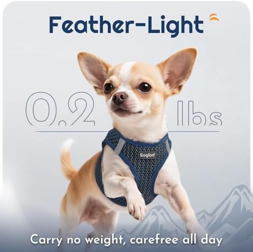 Eagloo Small Dog Harness and Leash Set, Step in Small Sized Puppy Pet Vest - Image 5