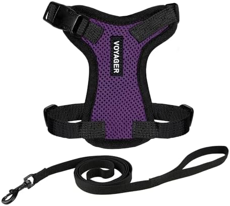 Voyager Step-in Lock Cat Harness & Leash Set by BestPetSuppliesLLC