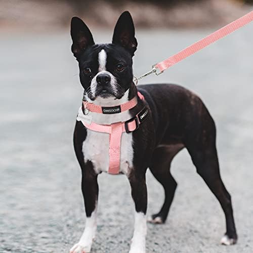 No Pull Dog Harness, Leash & Collar Set, Adjustable Step-in Vest - Image 6