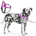 Freedom No Pull Dog Harness by APDEXY%7CEspeciallyFurYou