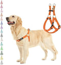 PUPTECK No Pull Dog Harness Large Sized Step-in Adjustable Puppy Vest by PUPTECK