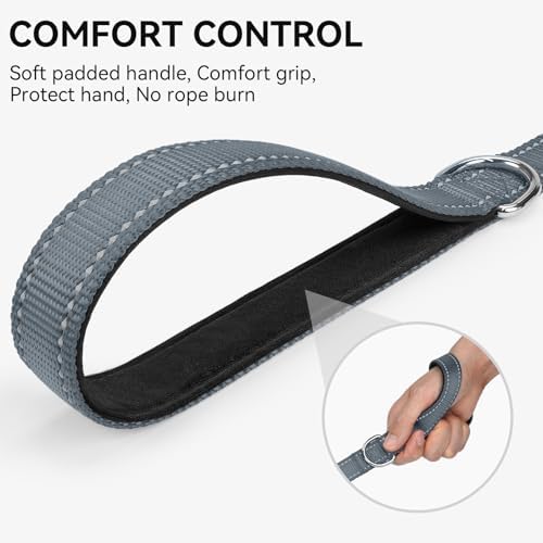 Joytale Reflective Dog Leash for Medium & Large Dogs, 5 FT x 1" - Image 3
