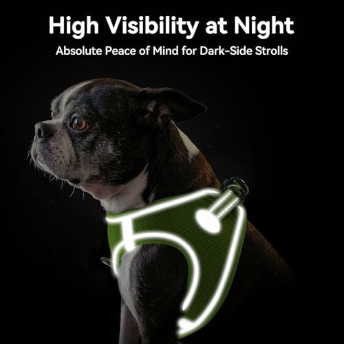 Joytale Step-in Dog Harness, Soft Breathable Mesh - Image 5