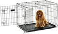 Carlson Secure and Compact Double Door Metal Dog Crate, Medium by Carlson%C2%AEPetProducts