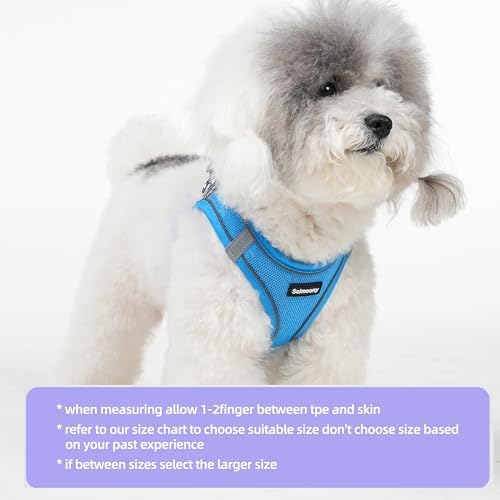 Solmoony Sparkly XS Dog Harness and Leash Set, Step in Soft Light Puppy Vest - Image 2