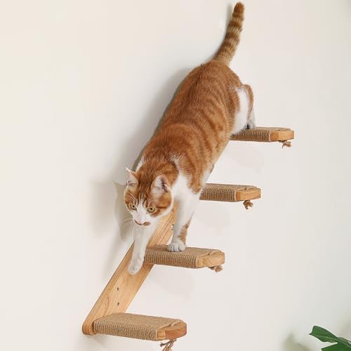 FUKUMARU Cat Climbing Shelf Wall Mounted by FUKUMARU