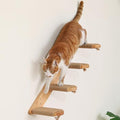 FUKUMARU Cat Climbing Shelf Wall Mounted by FUKUMARU
