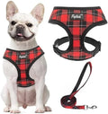 PUPTECK Small Dog Harness and Leash Set No Pull by PUPTECK