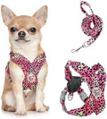 Pawaboo Small Dog Harness and Leash Set, Puppy Harness X-Frame Adjustable by Pawaboo