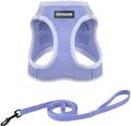 Voyager Step-in Air Cat Harness & Leash Set by BestPetSuppliesLLC