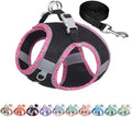 AIITLE Step in Dog Harness & Leash Set by AIITLE-FORPETSBETTERLIFE