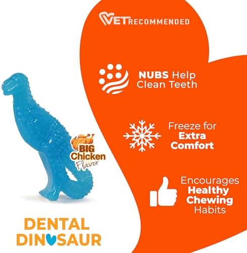 Nylabone Puppy Chew Dental Dinosaur Dog Chew Toy, Chicken Flavor - Image 4