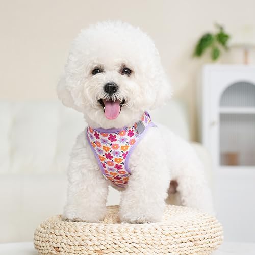 Small Dog Harness with Leash Step in No Pull Reflective Harness - Image 7
