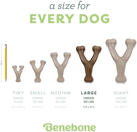 Benebone 2-Pack Wishbone Chew Toy - Image 4