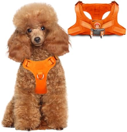 BARKBAY Small Dog Harness, No Pull Puppy Harness, Step-in Dog Vest by BARKBAY