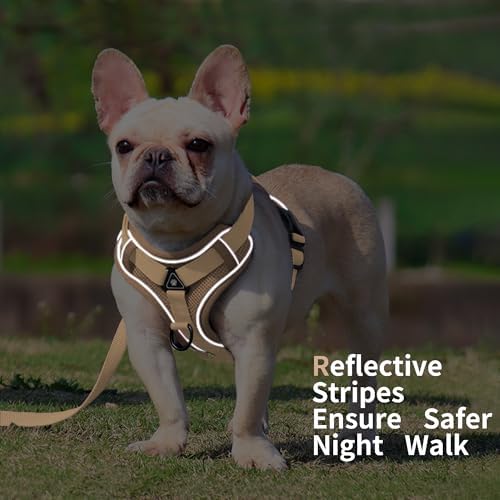 Dog Harness Small Sized Dog Pet Vest - Image 6