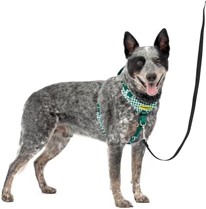 PetSafe Easy Walk Comfort No Pull Dog Harness by PetSafe