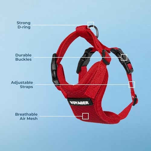Voyager Step-in Lock Dog Harness - Image 4