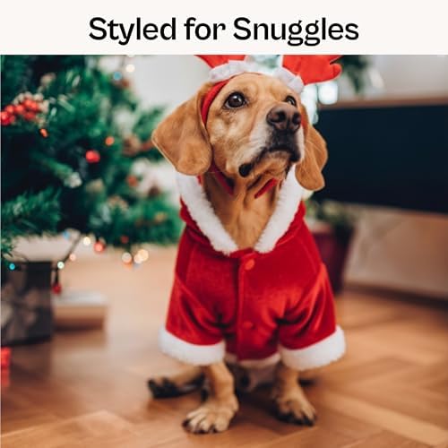 Parisian Pet Dog Santa Hoodie - Santa Claus Dog Christmas Outfit – Xmas Holiday Puppy Hoodie – Winter Pet Sweater – Soft Velvet Christmas Doggy Clothes for Small Dogs - S - Image 5