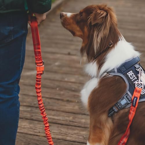AUROTH Tactical Dog Harness Medium Sized Dog No Pull Adjustable Dog Vest - Image 6