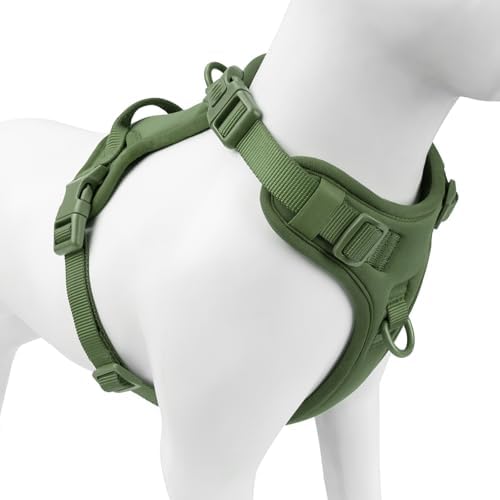Sunraymascota No Pull Dog Harness by Sunraymascota