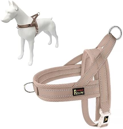 Plutus Pet No Pull Dog Harness for Small Dogs, Breathable Mesh Padded by PLUTUSPET