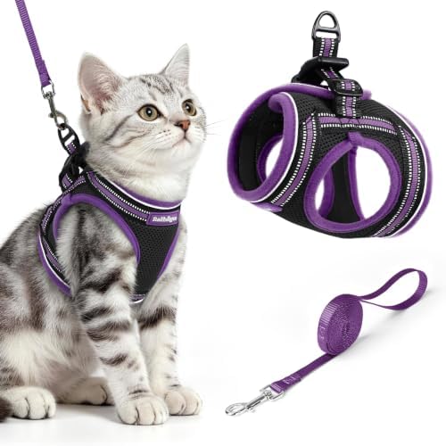 rabbitgoo Cat Harness and Leash Set, Step-in Soft Vest by rabbitgoo