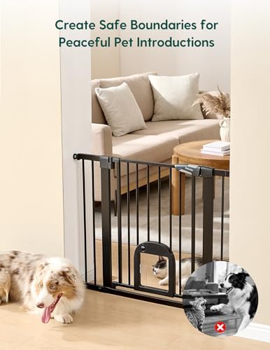 Babelio Dog Gate with Adjustable Cat Door, CatPrivilege III - Image 3
