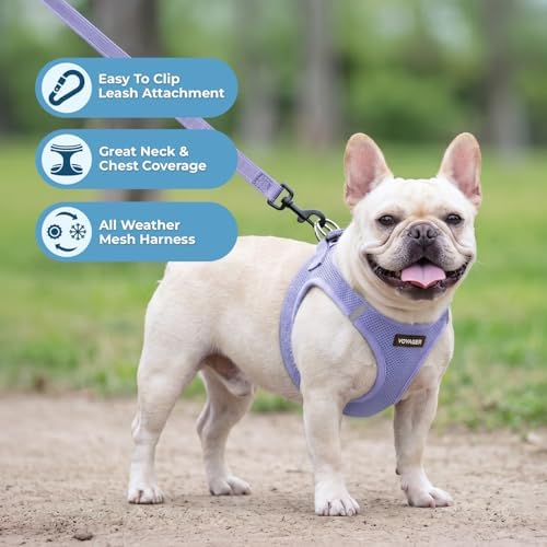 Best Pet Supplies Voyager Step-in Air All Weather Mesh Harness and Reflective - Image 5
