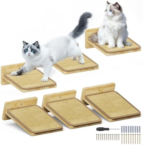 3Pcs 10"×8" Cat Wall Steps by SnuyGo
