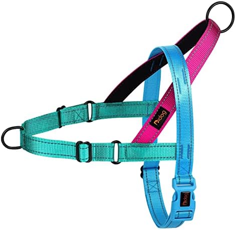 Didog No Pull Dog Harness for Small Dogs, Soft Padded Handle by Didog