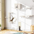 Cat Wall Shelves Set by NUNULAB