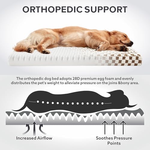 JOEJOY Dog Bed for Medium Dogs, Large Orthopedic Dog Bed - Image 3