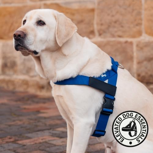 Dog Friendly Co. Dog Harness for Large Dogs - Image 6