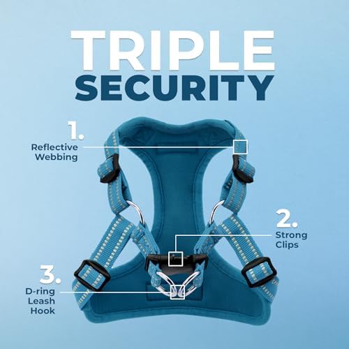 Voyager Step-in Flex Adjustable Dog Harness - Image 2