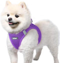 rabbitgoo Step-in Small Dog Harness, Puppy Vest by rabbitgoo