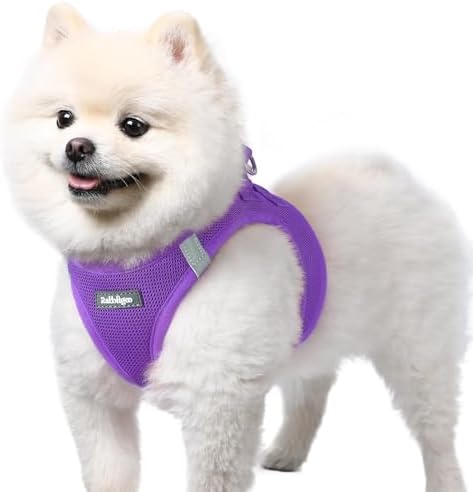rabbitgoo Step-in Small Dog Harness, Puppy Vest by rabbitgoo