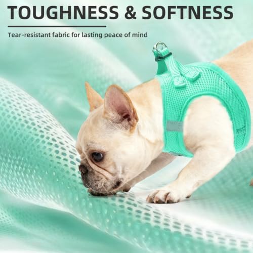 PUPTECK Adjustable Dog Harness Collar and Leash Set Step in No Pull Pet Harness - Image 6
