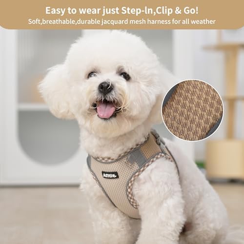 AIITLE Breathable Dog Harness Small Sized and Leash Set - Image 2