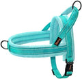 Didog No Pull Dog Harness for Small Dogs, Soft Flannel Padded by Didog