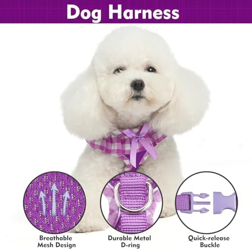 EXPAWLORER Step-in Dog Harness Small Sized Collar and Leash Set - Image 2