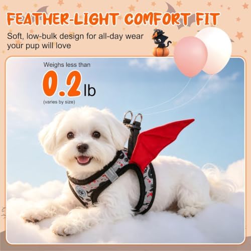 BEAUTYZOO Small Dog Harness and Leash Set, Step in No Choke No Pull Soft Mesh - Image 2