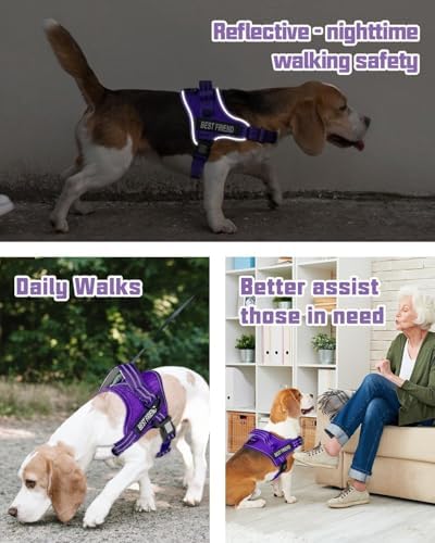 AUROTH Dog Harness and Leash Set Small Sized Dog, No Pull Escape Proof Vest - Image 2
