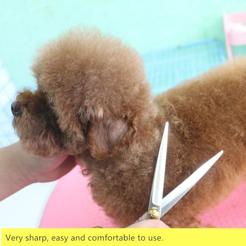 HASHIMOTO Dog Scissors for Large Dog Grooming, 8.0 inch Straight Shears - Image 5