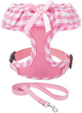 EXPAWLORER Step-in Dog Harness Small Sized and Leash Set by EXPAWLORER