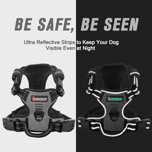 BARKBAY Dog Harness No Pull for Small Sized Dog Front Back Clips, Dog Vest - Image 5
